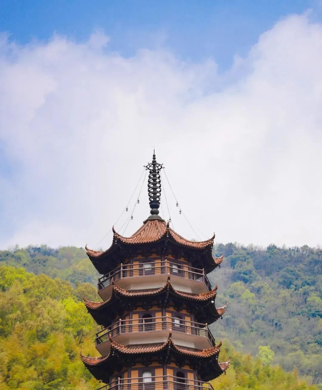 他们那一班子人都是开悟的,那不是一个 他们那一班子人都是开悟的,那不是一个