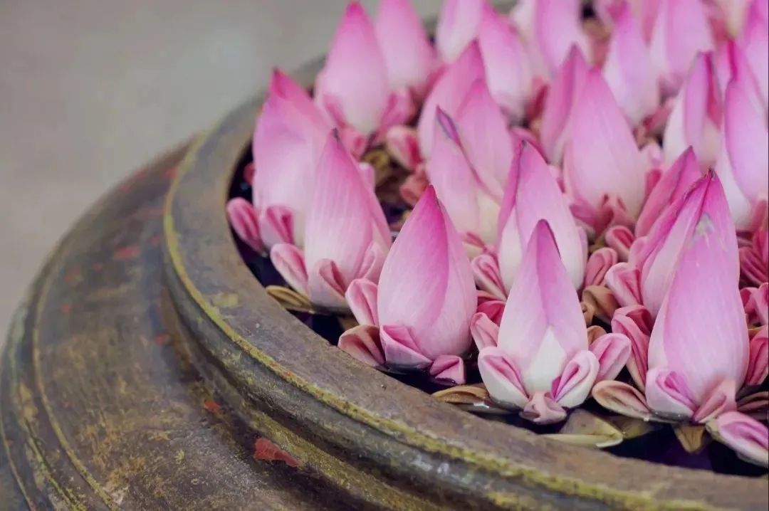 Ϊʲô����Խ��Խ�٣���Щϸ��һ��Ҫע��