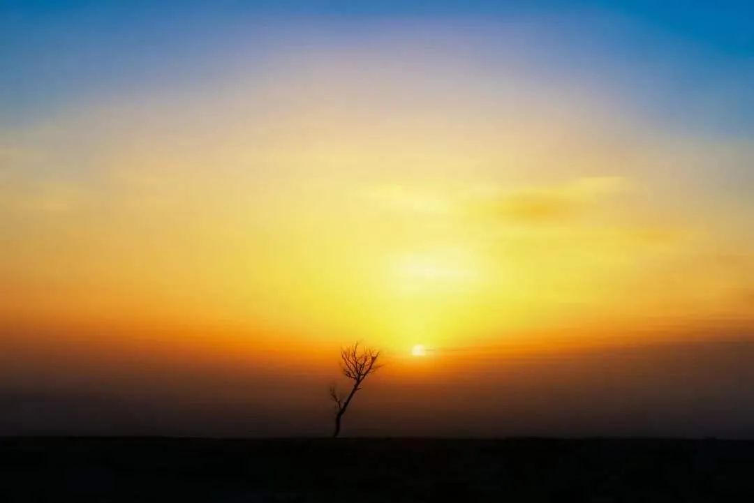 ��������ж�ࣿ������������Ϊ��ʲô��