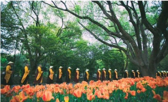 什么是随缘? 什么是随缘?