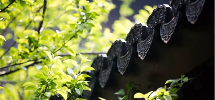 �������Щ������¼����һ�����ܴ��㣿