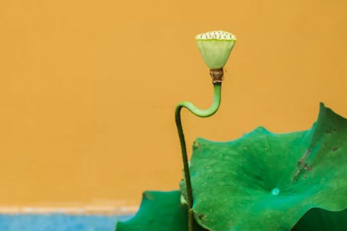 �������Щ������¼����һ�����ܴ��㣿