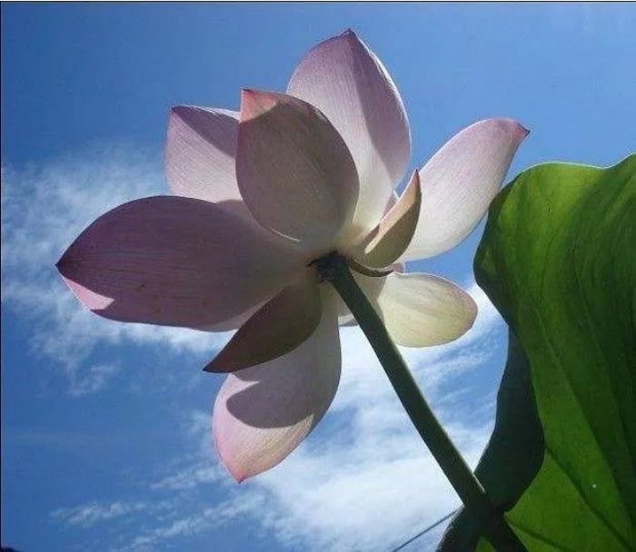 �����У������˼������Ե���