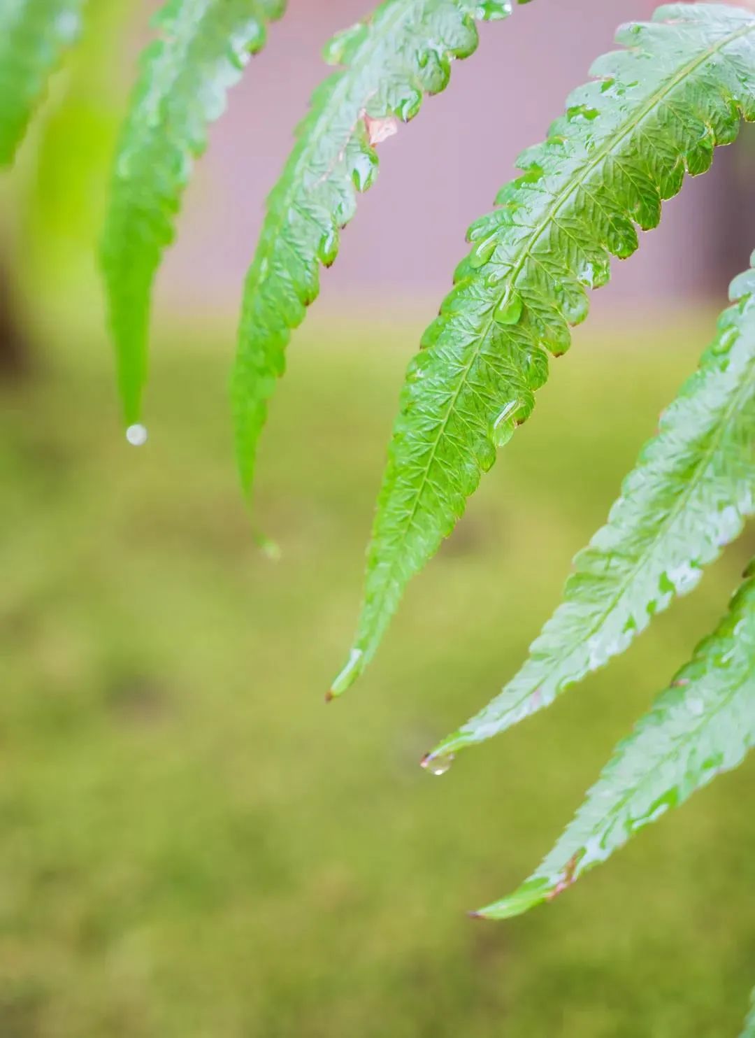 �����Ϻ���̸���ģ�ֱָ��Ҫ_��