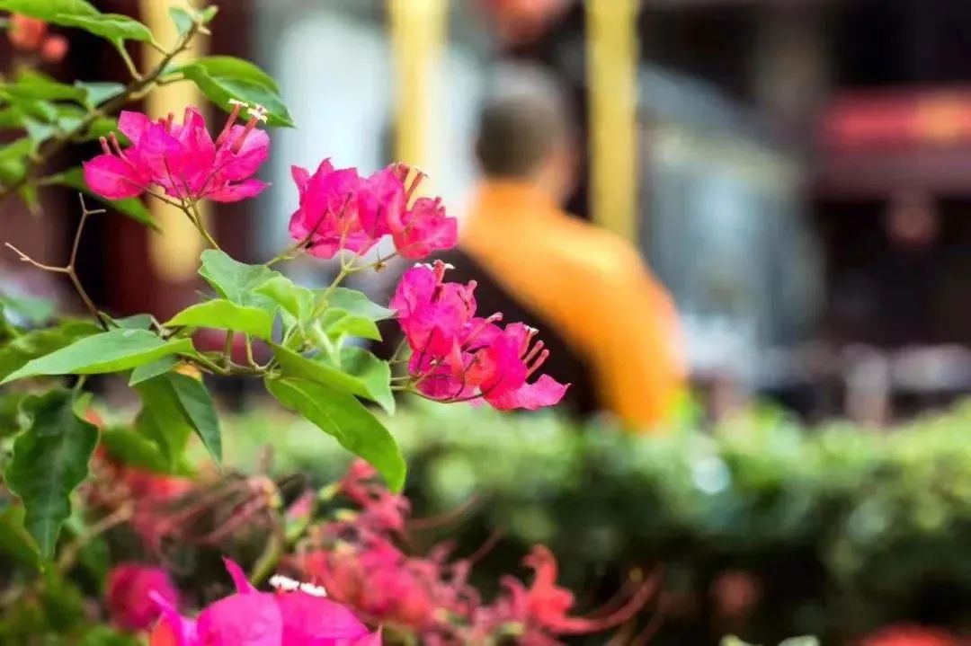 �����㡰��������������������