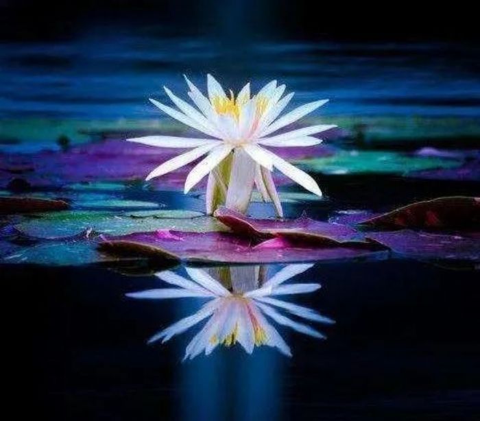 ���ҡ���ʲô����ʵֻ��һ�ָо�