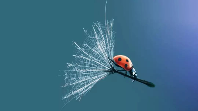 �������ǡ��������ܡ���ҵ��������ȥ����