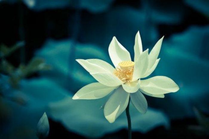 ���ط���С�����������ʵ����