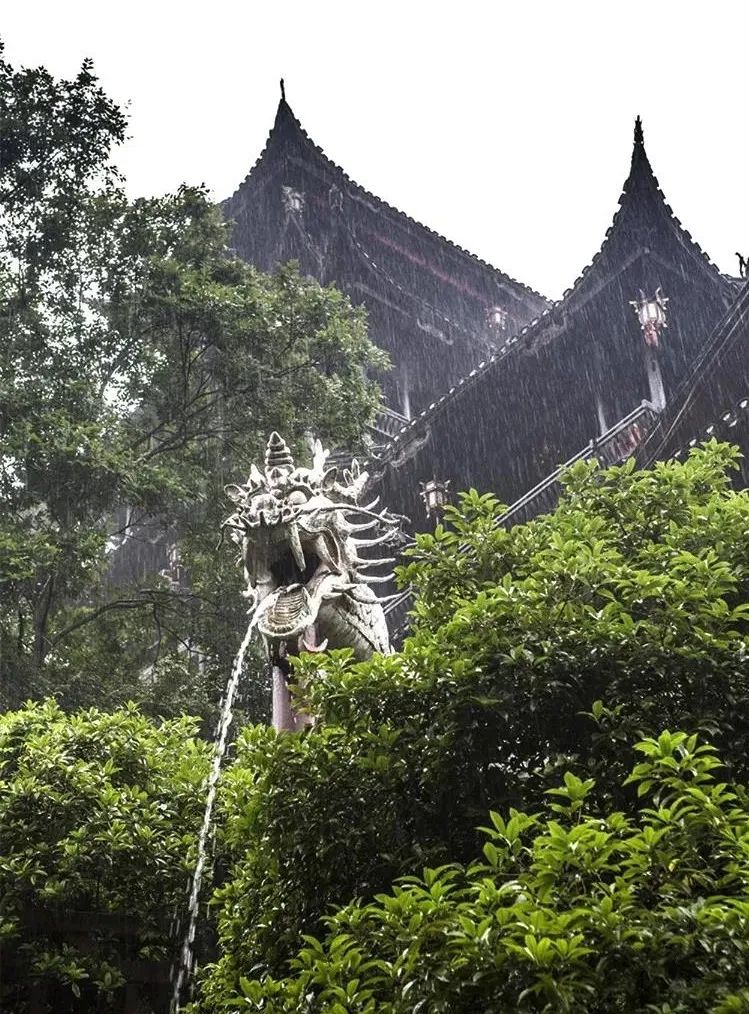 ���ն࣬ҵ���ԭ��������