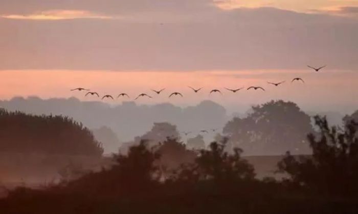 ɹ��ɵ������γɳ�Ϊһ����ɮ�ģ�