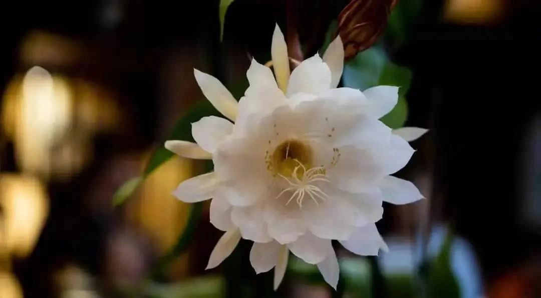 �����ù�ѧ��Ϊ�λ����˻ٰ���