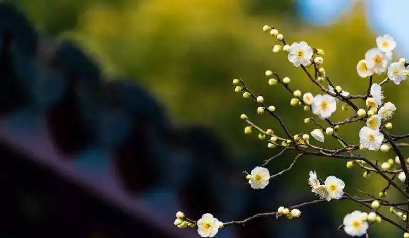 ����������������������ѧ����Ҫ������Щ�����ϵġ�������