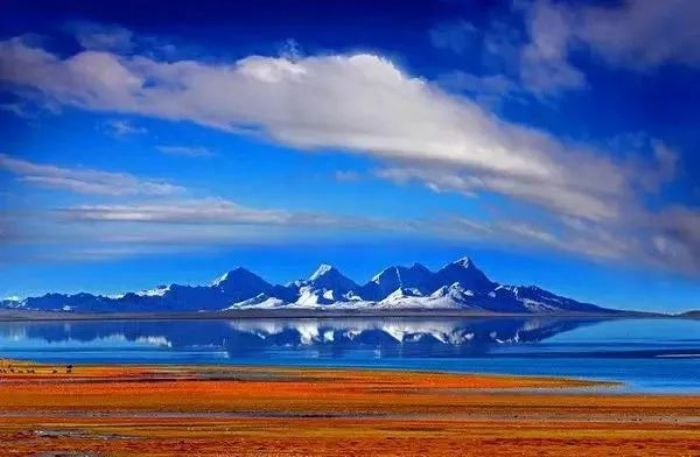 ��һ�����������������㣿