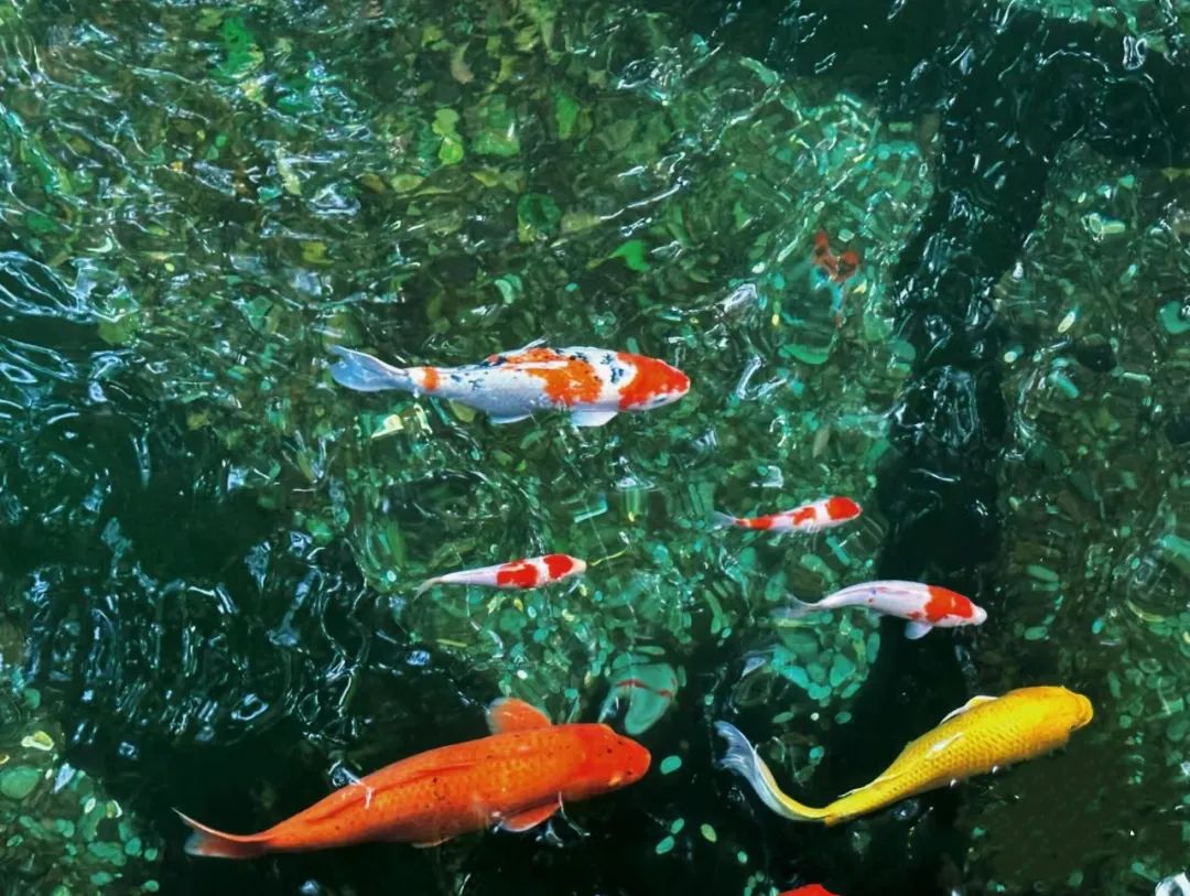 ��ɱ���������彡������������Щ�������棿