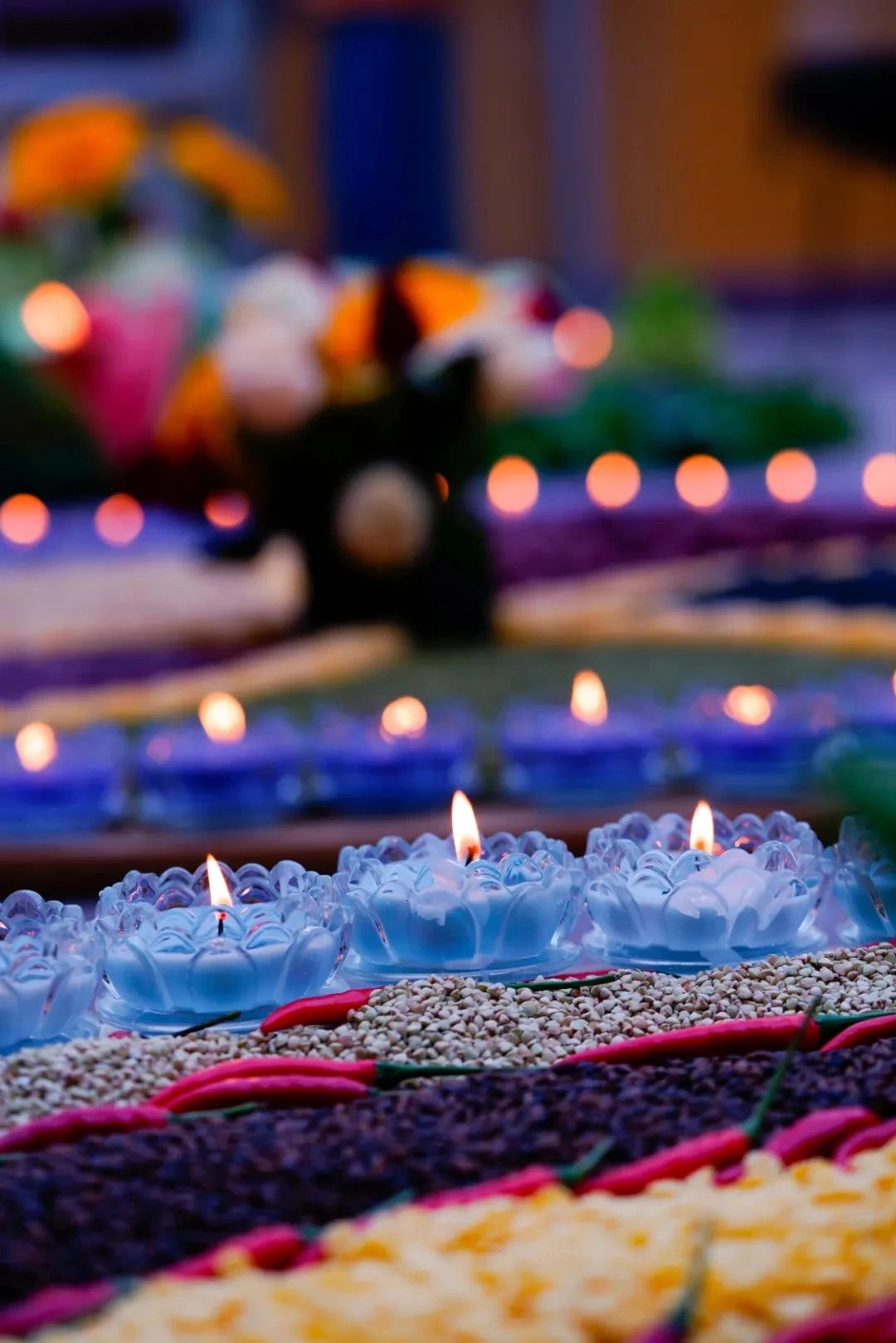 ����Ҳ��Ҫ��ϰ��