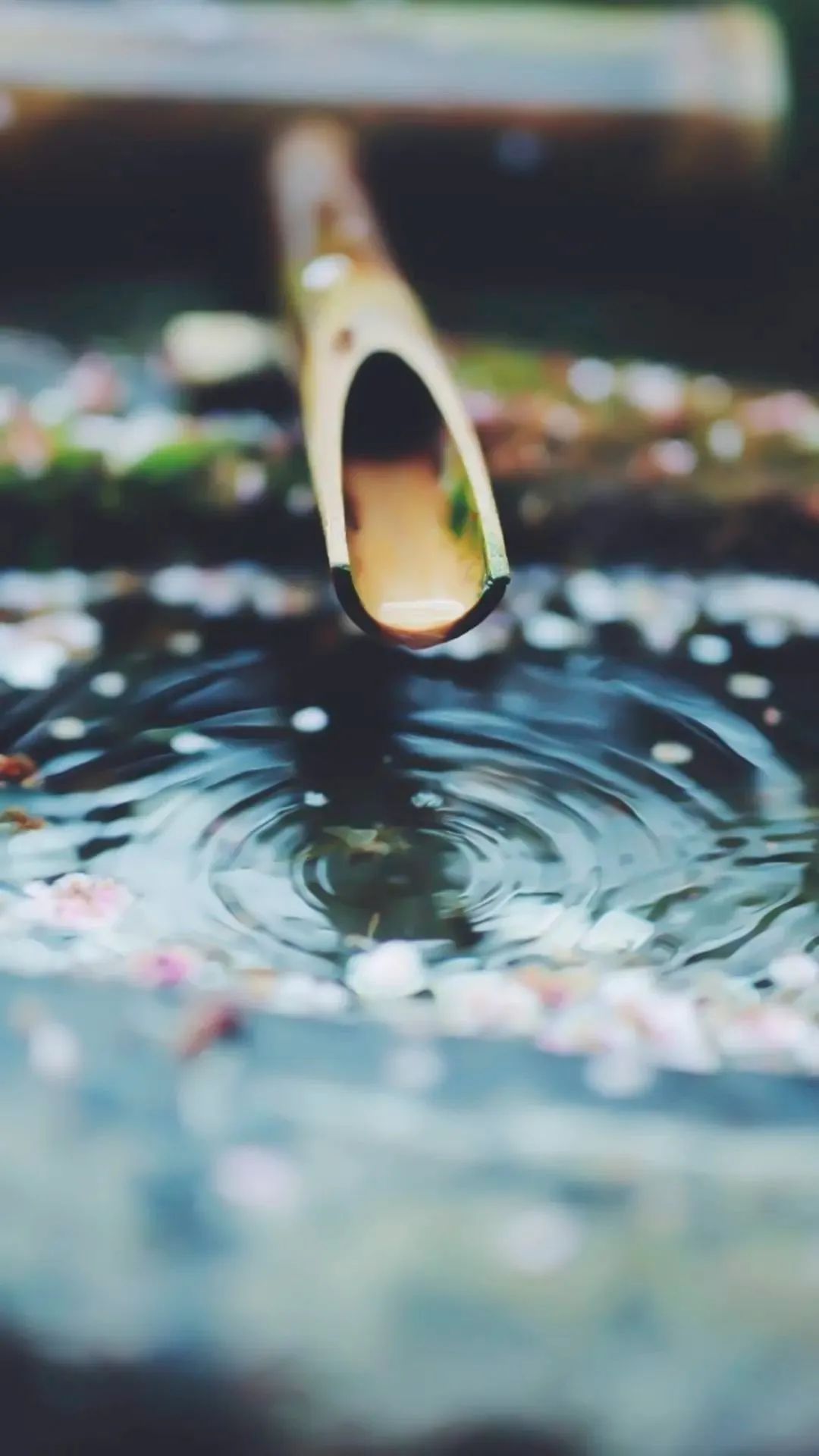 ��������ʱ����β�����ס��