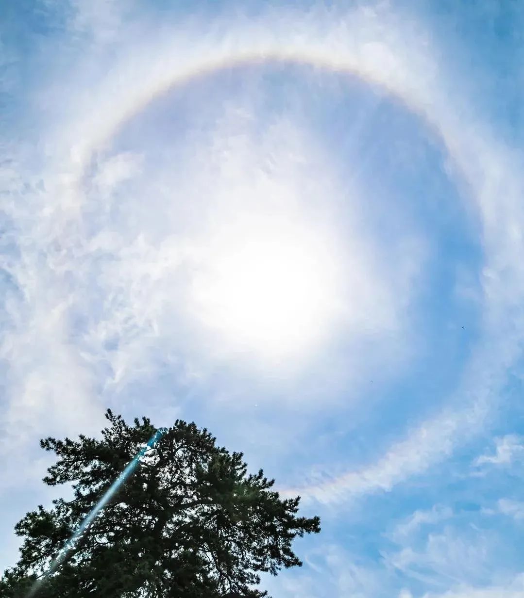 �޳����ڶ�����������𲻷���