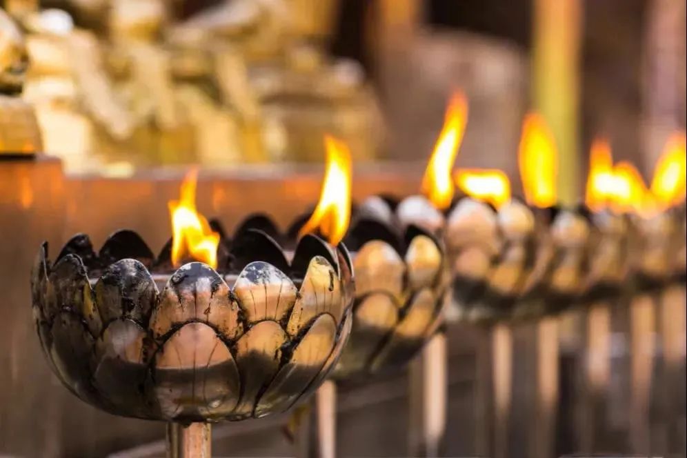 �޳����ڶ�����������𲻷���