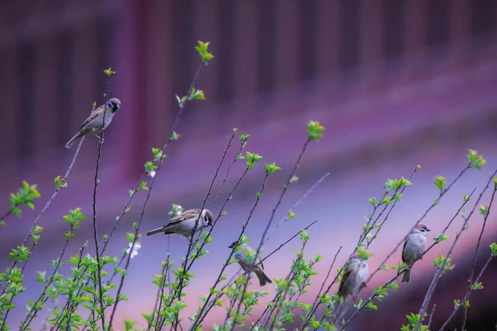 ѧ���������������˵������ä��Ϲ����