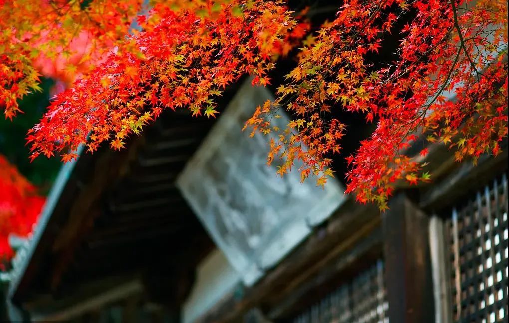 ��˵�����¡�_������ָ����ʲô��