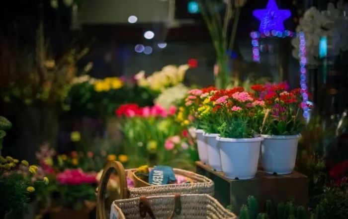 ��˵�����¡�_������ָ����ʲô��