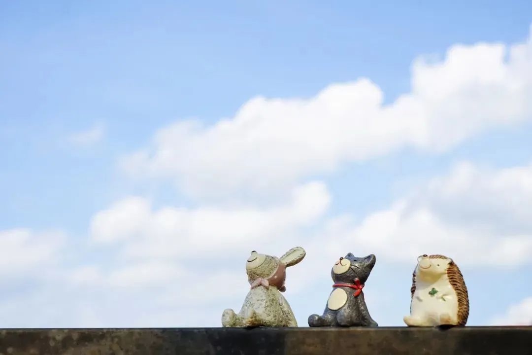 ��ѧ���㿴�����ǵĸ�������