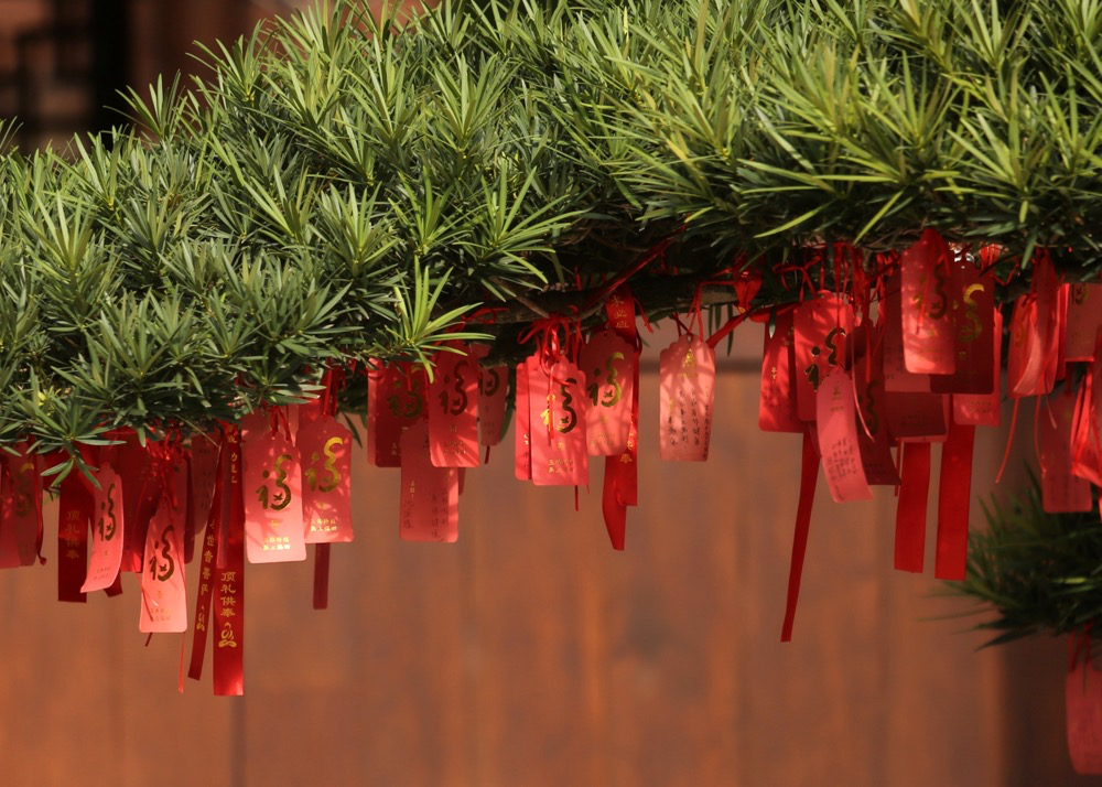 ��ѧ���㿴�����ǵĸ�������