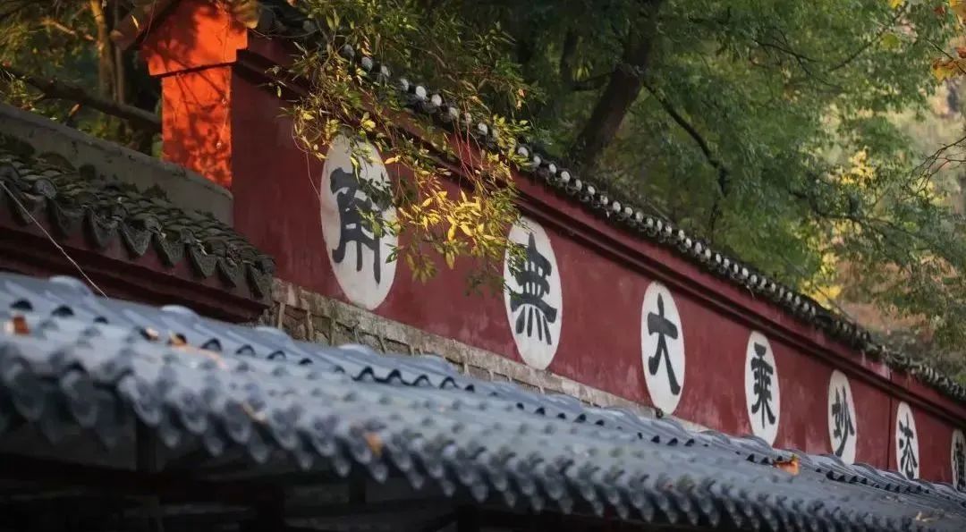 ��ѧ���㿴�����ǵĸ�������