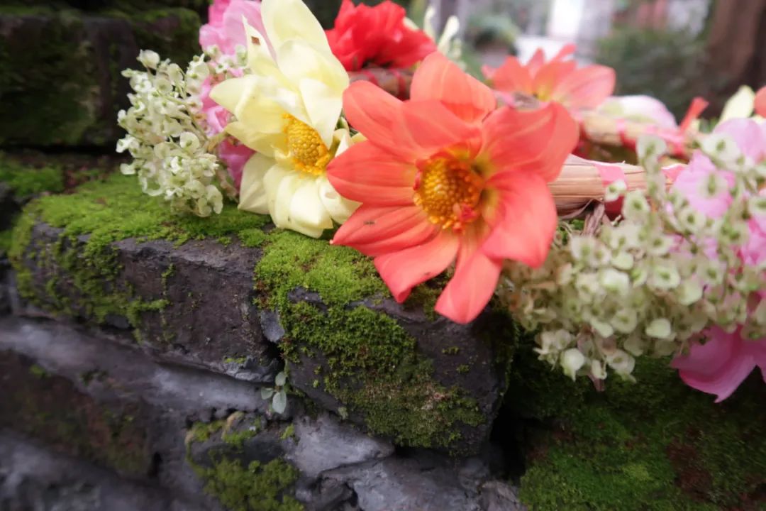 ִ�������������