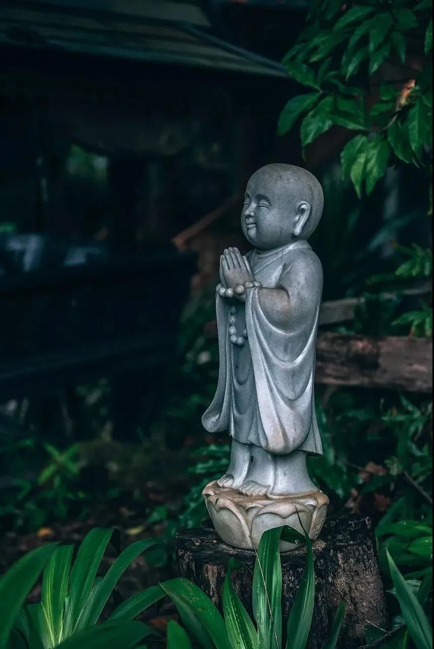 烦恼吗?此处正好修行! 烦恼吗?此处正好修行!