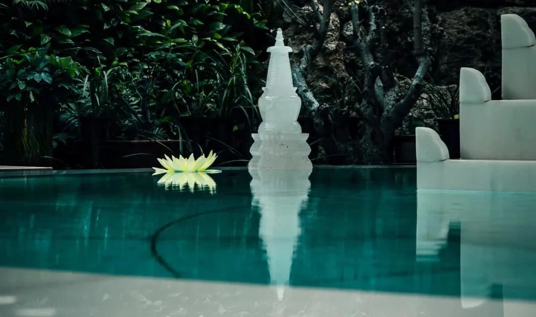 Ϊʲô�������¹��������¶����أ�