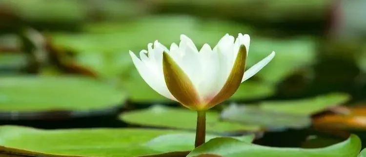 修行哪是这样子搞啊!脑子都用坏了…… 修行哪是这样子搞啊!脑子都用坏了……