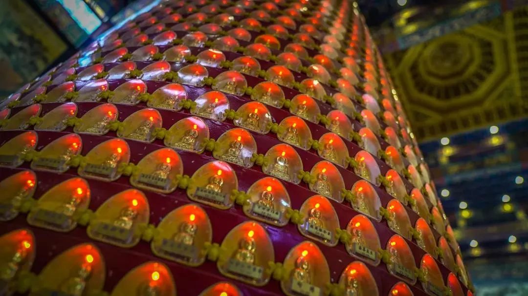 修行哪是这样子搞啊!脑子都用坏了…… 修行哪是这样子搞啊!脑子都用坏了……