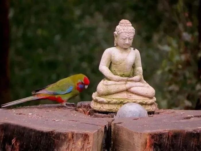 修行哪是这样子搞啊!脑子都用坏了…… 修行哪是这样子搞啊!脑子都用坏了……