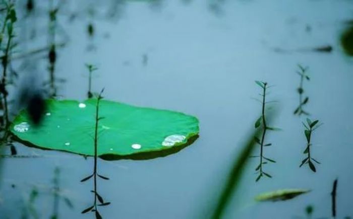 会修行的人,在任何一个地方都能够修行 会修行的人,在任何一个地方都能够修行