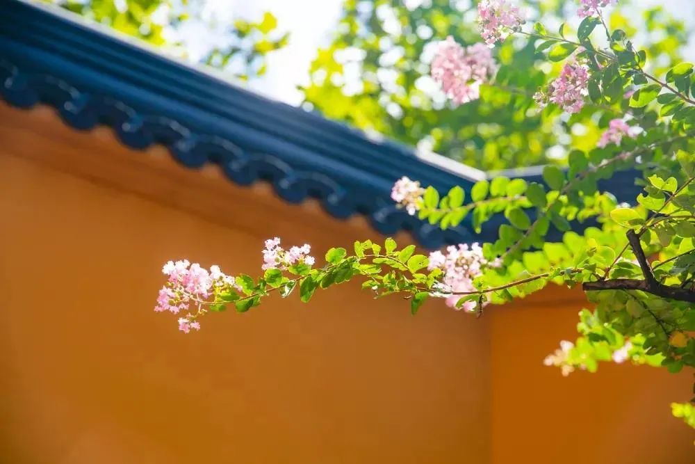 ��Ӧ��ѧ��������������������