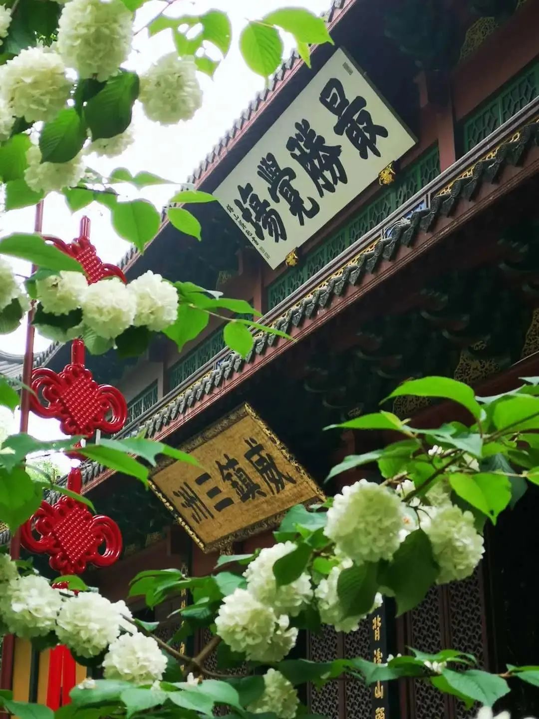 ӡ�ⷨʦ�����ļ�ת���������