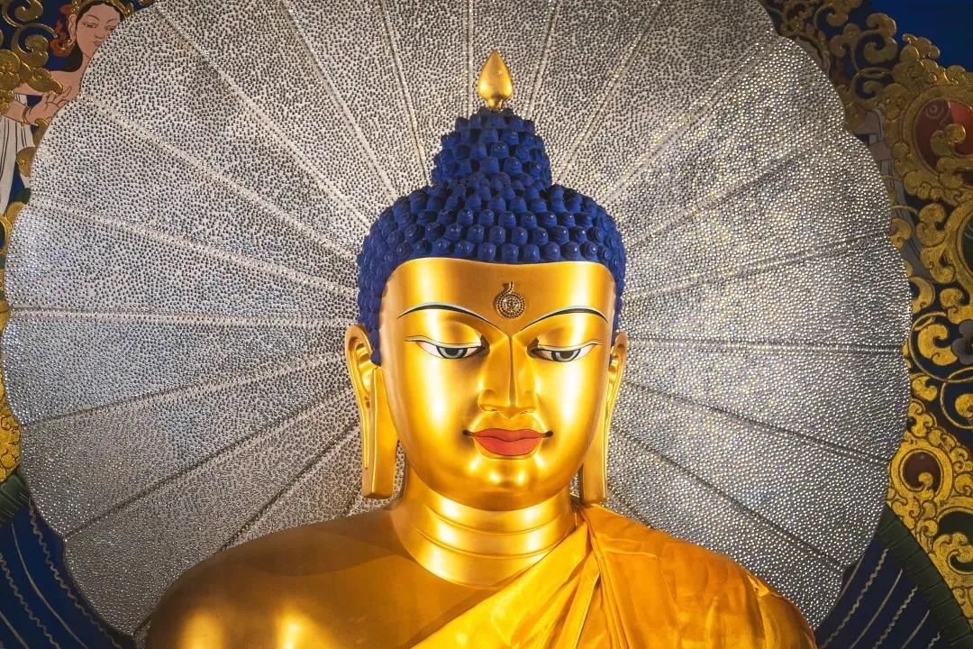 Ϊ�������Է���˵���������ţ�