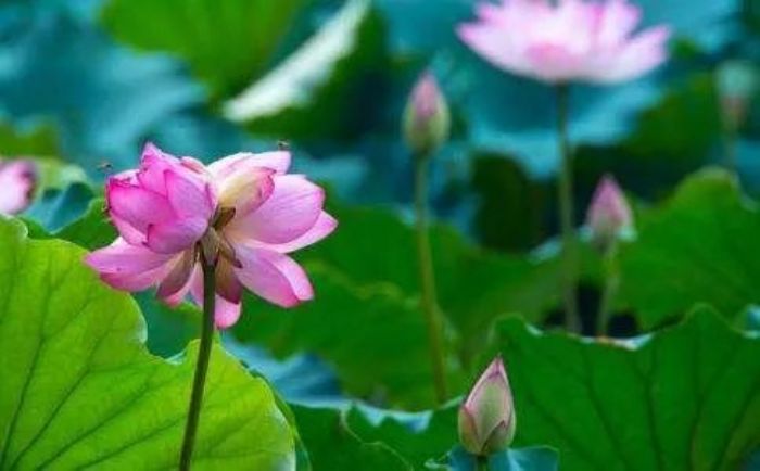 ����������Ӧ���ѧ��