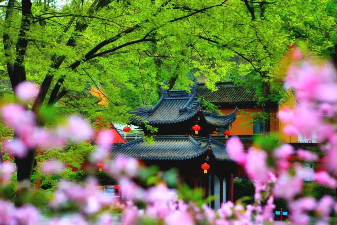 ��������֮������һ�з�Ӧ�۷����ԣ�һ��Ψ����