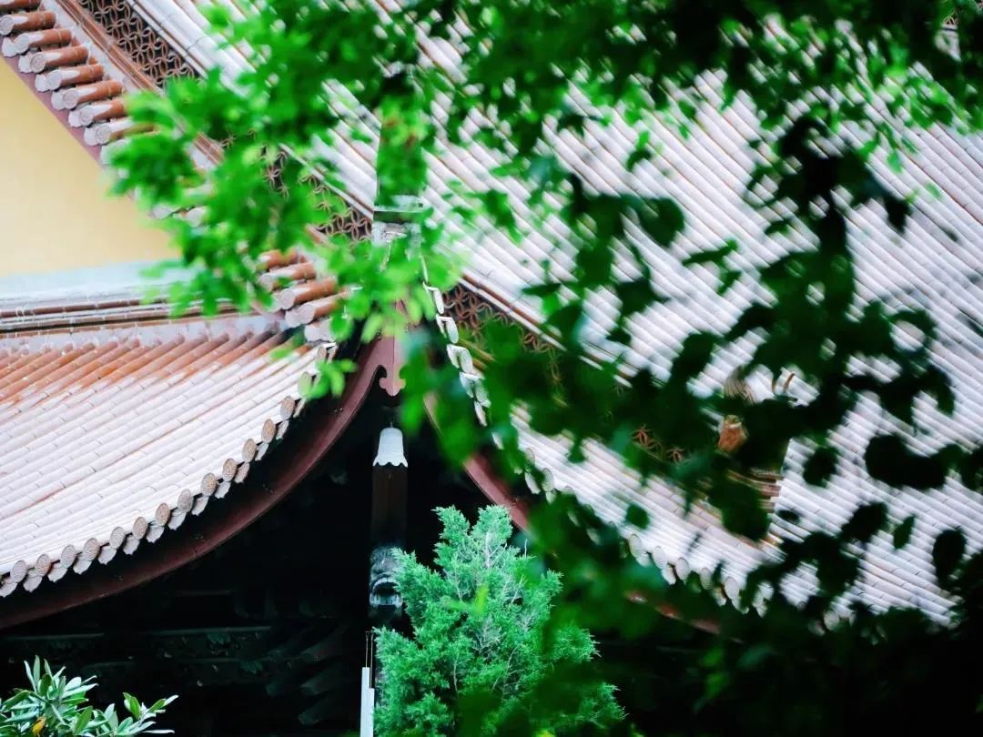 ��������֮������һ�з�Ӧ�۷����ԣ�һ��Ψ����