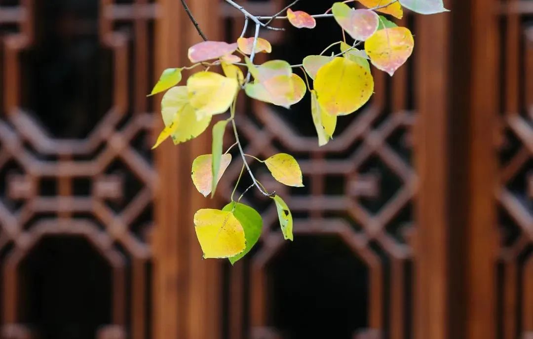 ��������֮������һ�з�Ӧ�۷����ԣ�һ��Ψ����