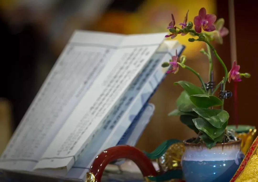 �������죬����ãã��������ʲô��