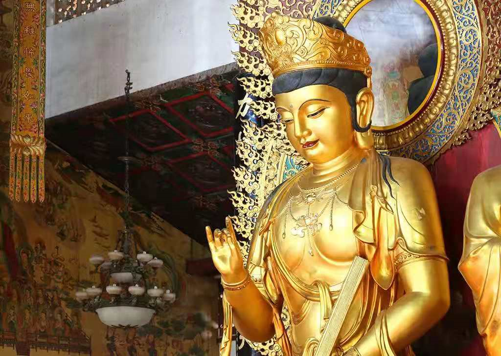 ���в��Ƶ���ͷ�������˺��Ķ����Լ�