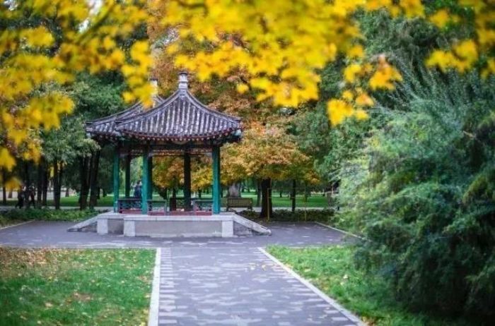 Խ�᲻�õģ�ԽҪ�������