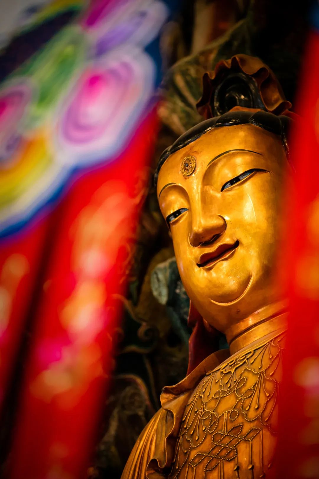 ��������δ�뿪������һֱ������Щ��ʽ���������ң�