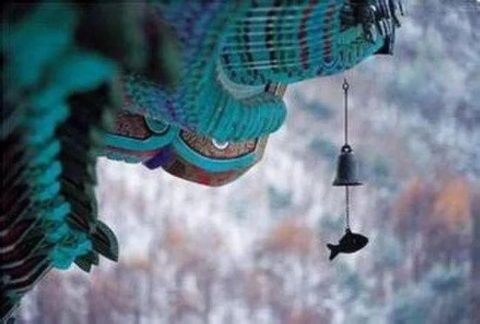 �����Ϻ��е����ؿ��ԣ����ܼ�����