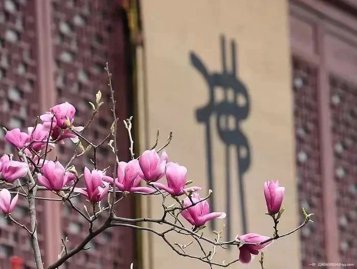 ���ط�������ף�������ŭ����Ϊ������ͽ��