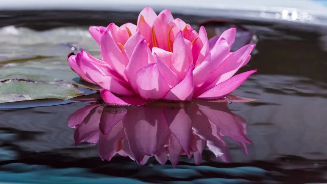 �ڼҾ�ʿ��С�ķ����Ӧ����ν��в��ȣ�