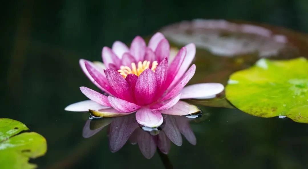 ��������������Ŀ����𣿿���ʦ����ô˵